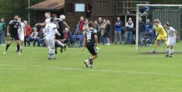 MFV I: 3:1 Niederlage beim TSV Billigheim