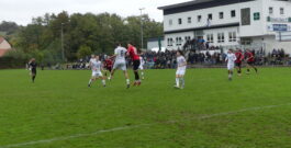 MFV I: 1:1 Unentschieden gegen die SpVgg Neckarelz
